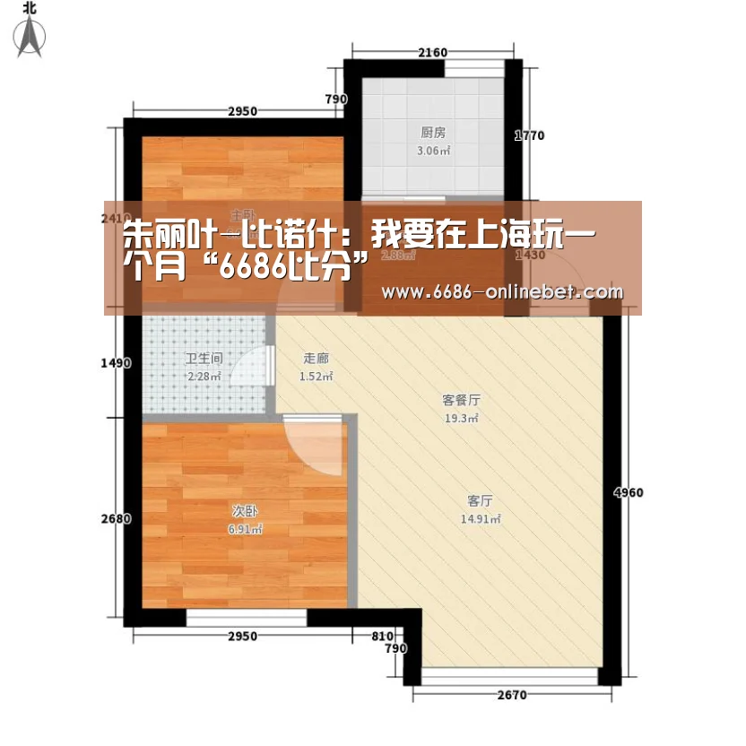 6686赛事