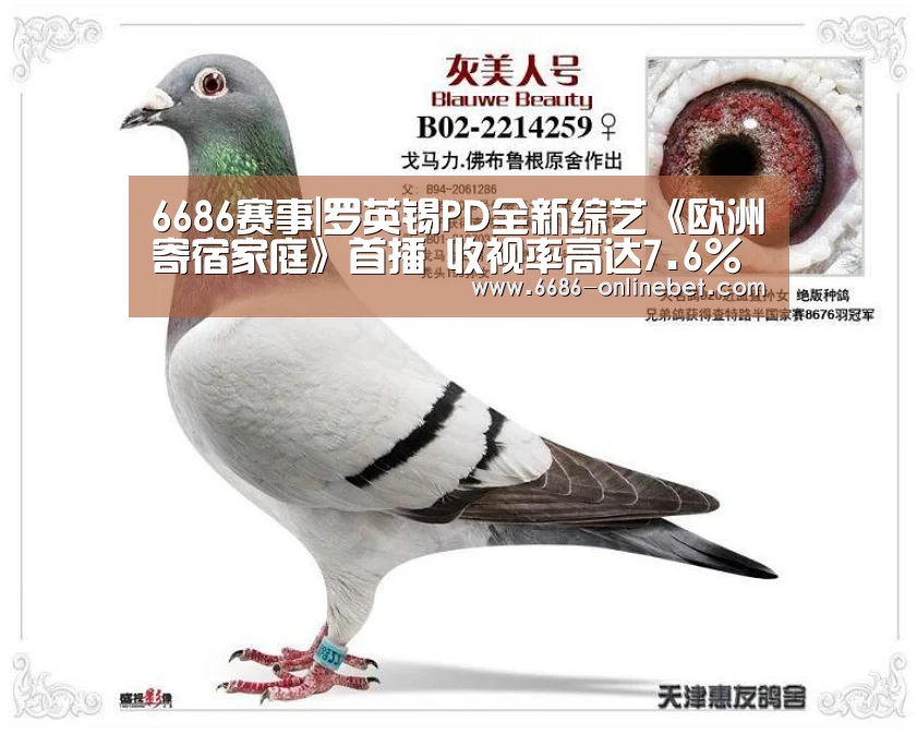 6686赛事|罗英锡PD全新综艺《欧洲寄宿家庭》首播 收视率高达7.6%(图1) 6686赛事|罗英锡PD全新综艺《欧洲寄宿家庭》首播 收视率高达7.6%(图1)
