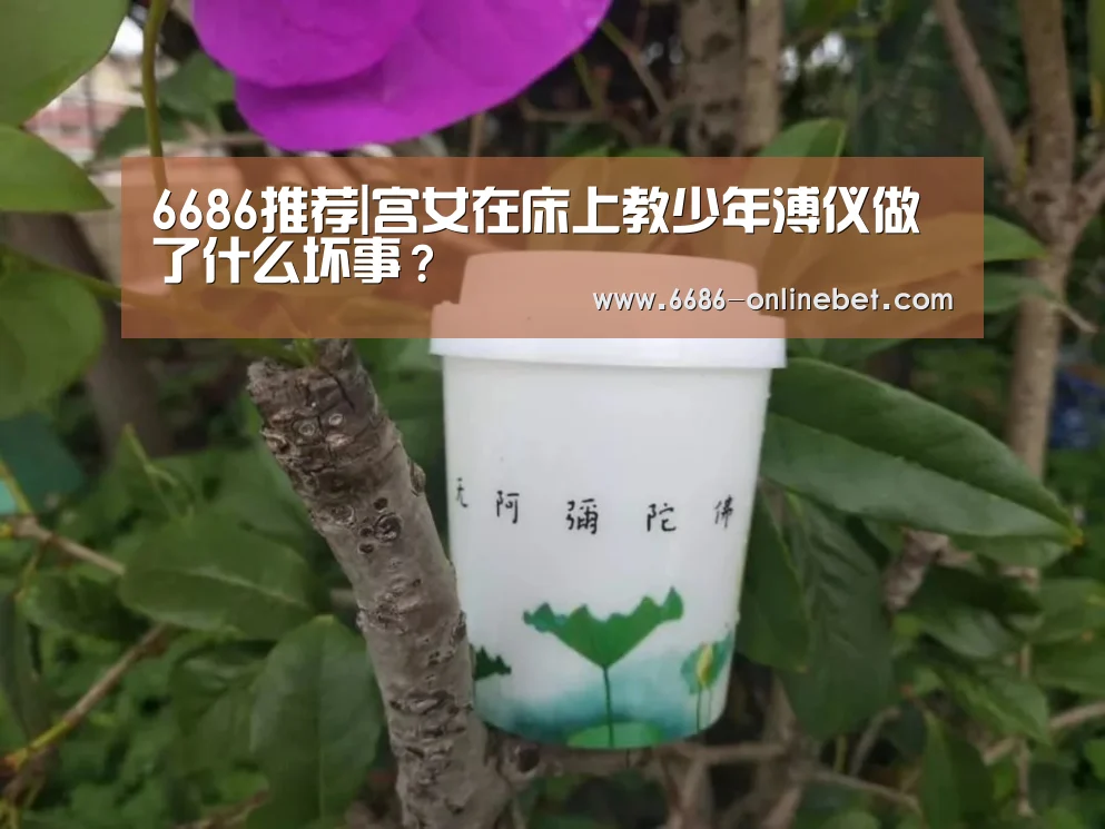 6686赛事