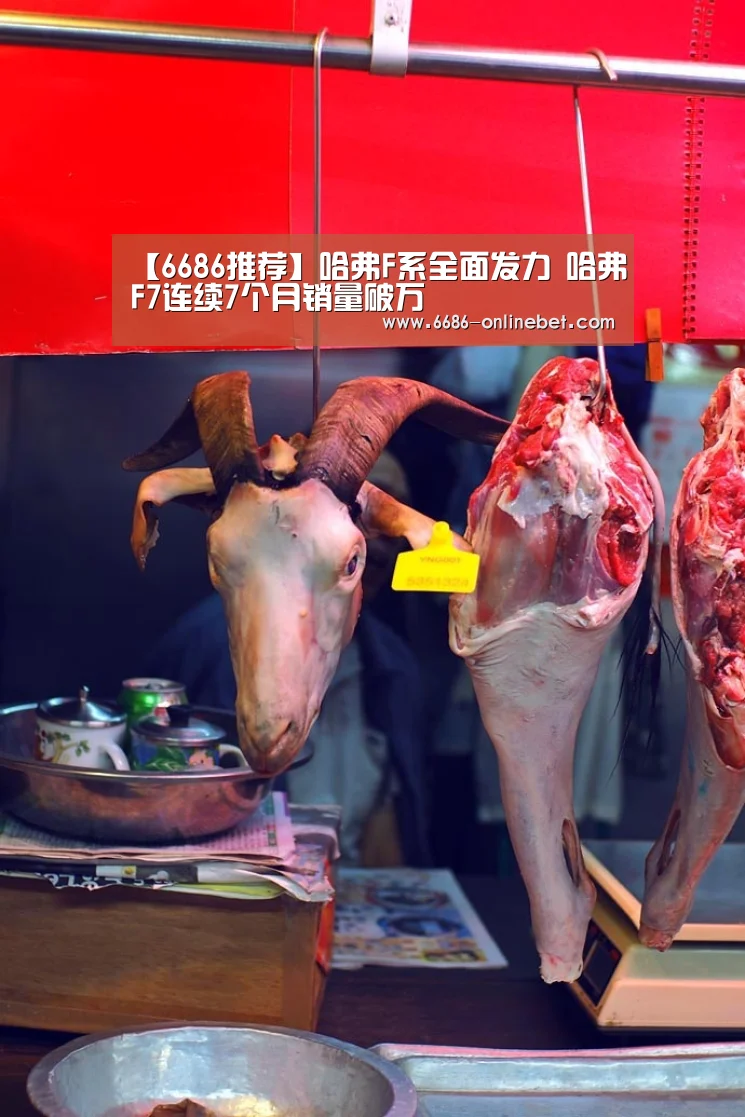 【6686推荐】哈弗F系全面发力 哈弗F7连续7个月销量破万(图1) 6686推荐