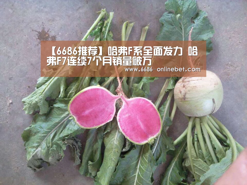 【6686推荐】哈弗F系全面发力 哈弗F7连续7个月销量破万(图2) 6686比分